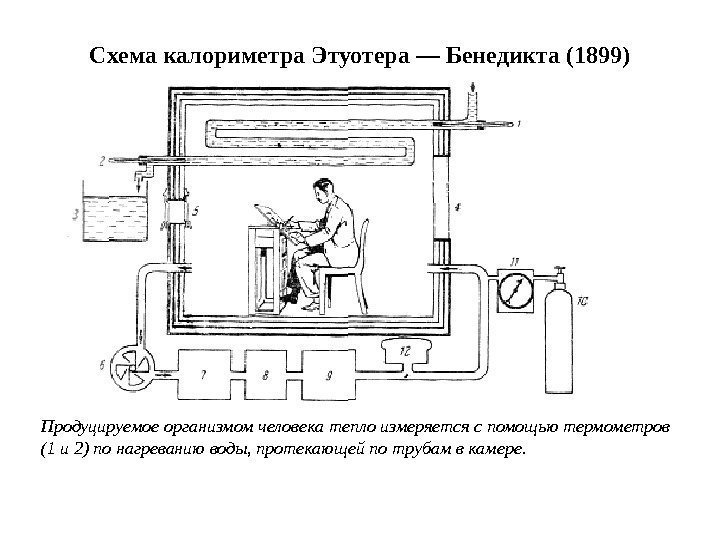 Схема калориметра Этуотера — Бенедикта (1899) Продуцируемое организмом человека тепло измеряется с помощью термометров